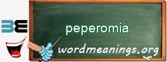 WordMeaning blackboard for peperomia